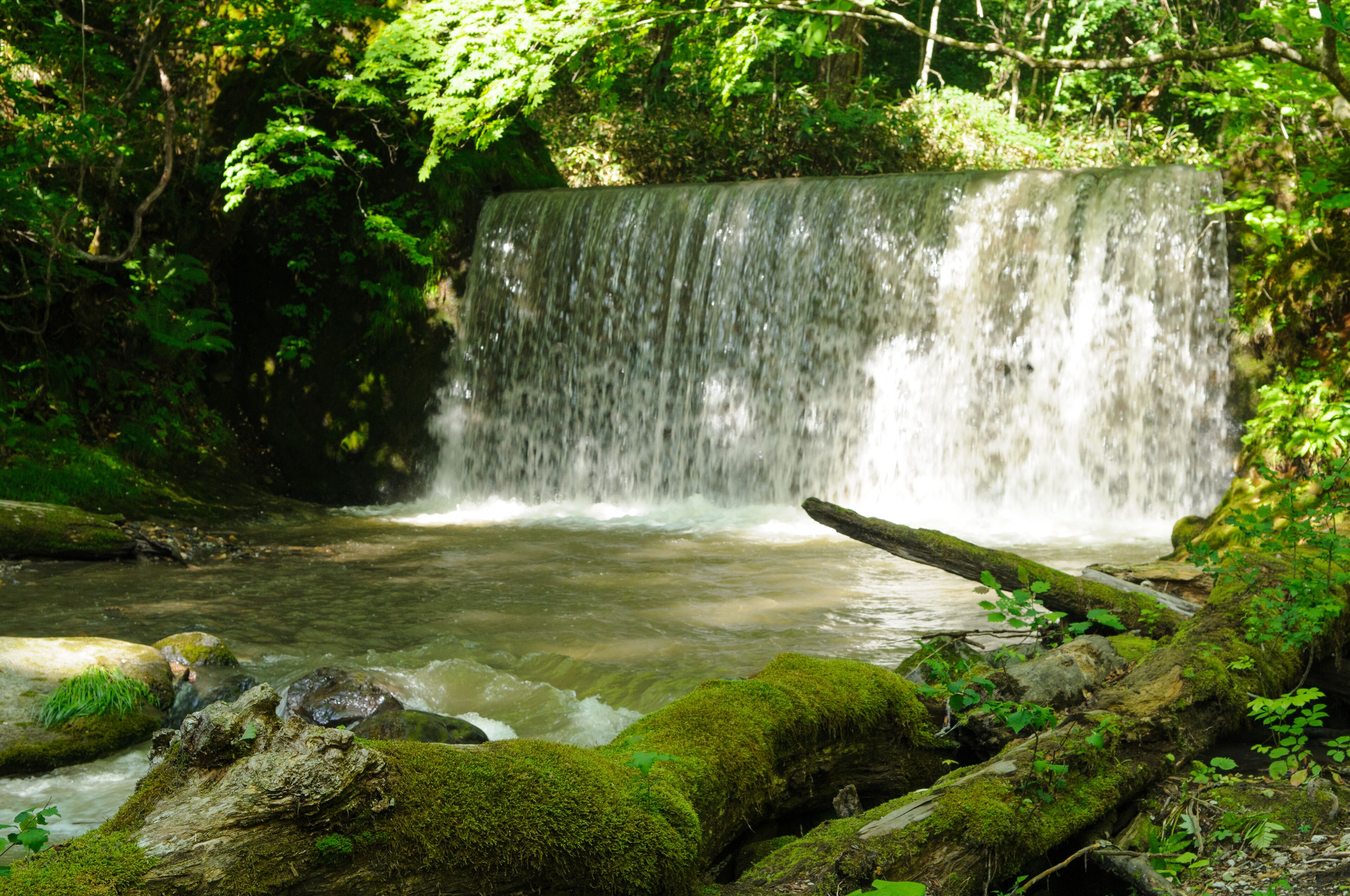 Une cascade entourée d’une végétation luxuriante.