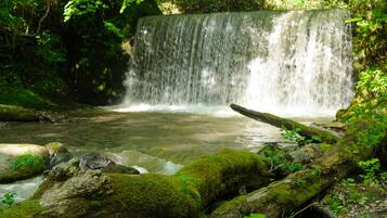 Une cascade entourée d’une végétation luxuriante.