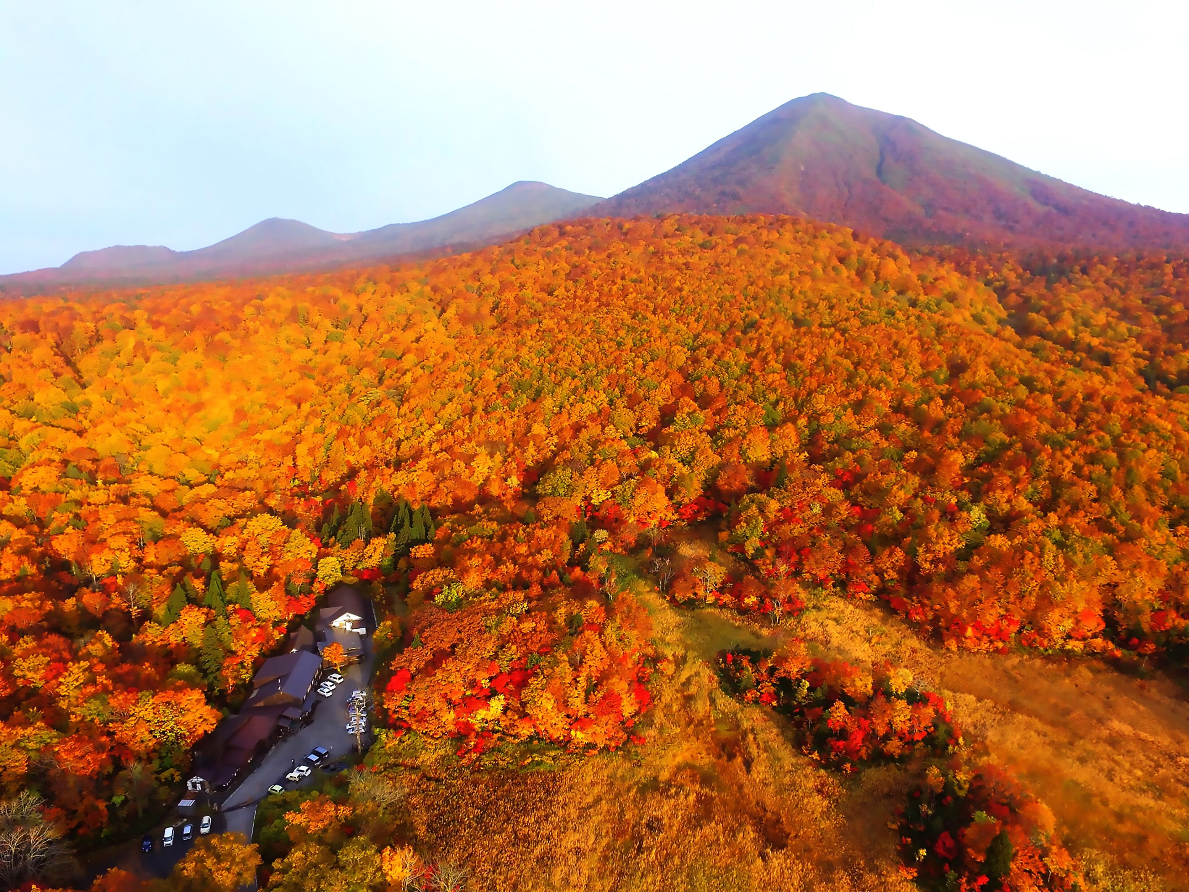 An aerial view of a mountain with a dense forest of autumn-colored trees.