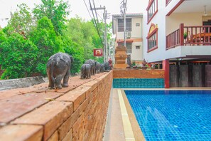 Outdoor pool - SK house 2 (Chiang Mai)