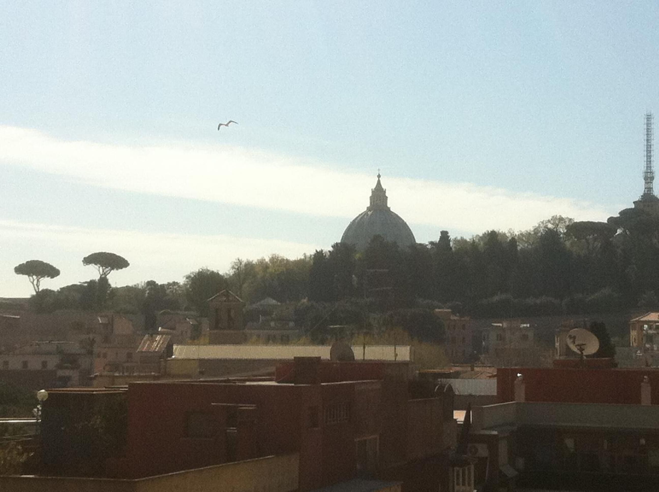 A view of a cityscape with a prominent dome structure, surrounded by trees and buildings.