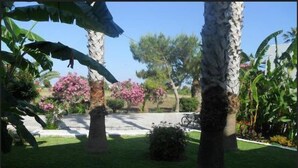 Property grounds - Miros Apartments (Kos)