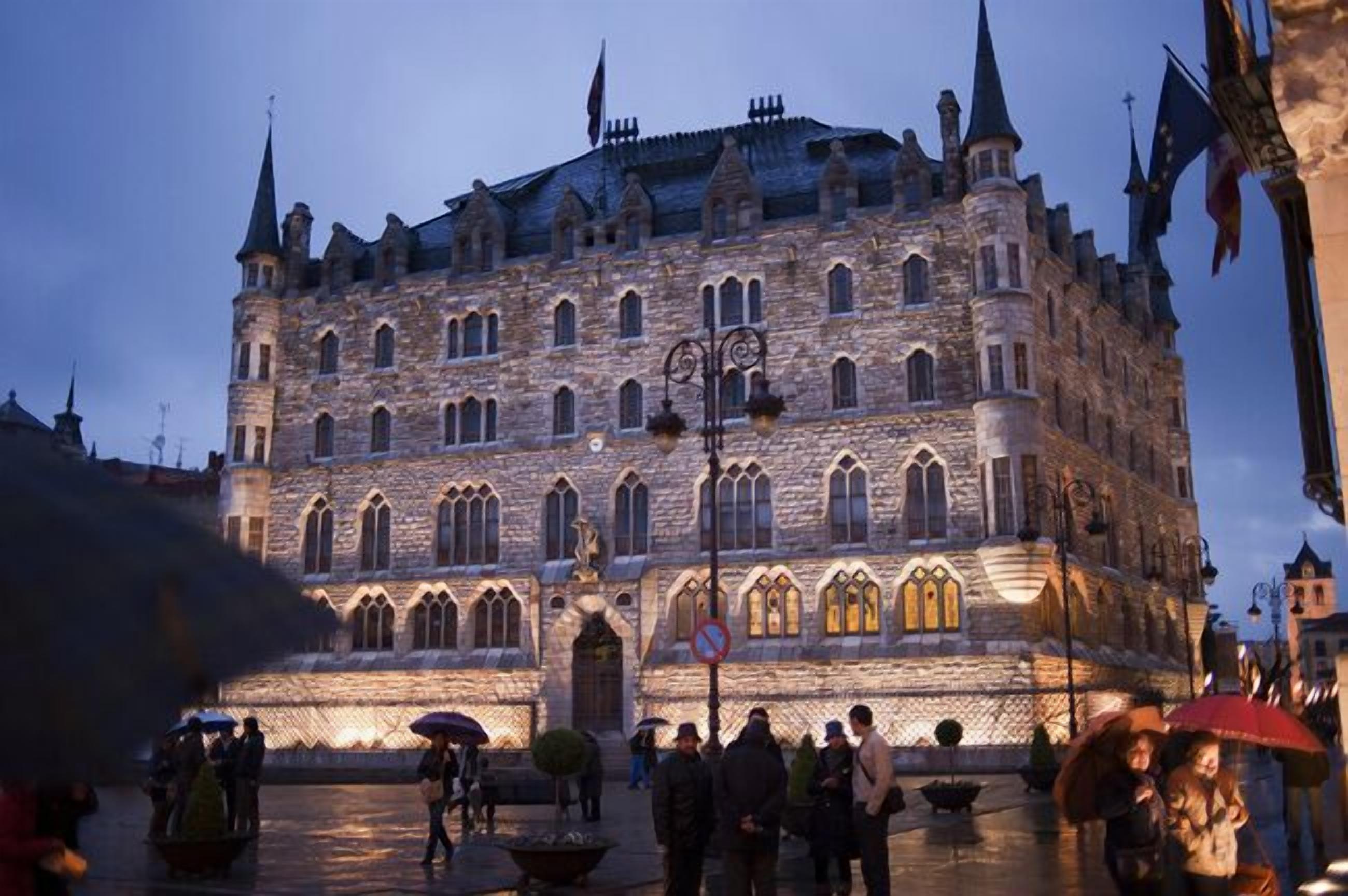 Foto - Purple Dog Suites