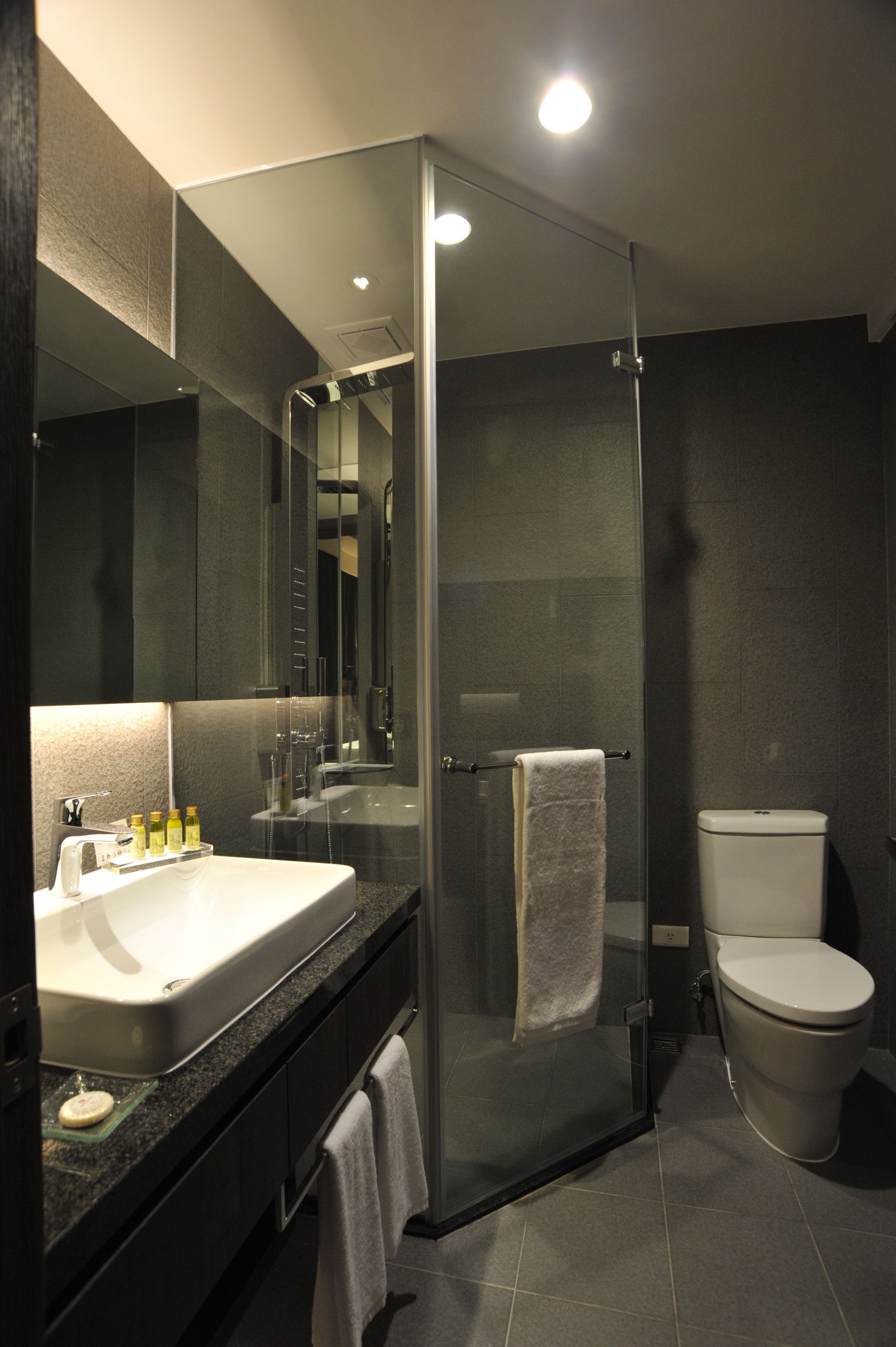 Un baño moderno con ducha de vidrio, un lavabo blanco y un inodoro.