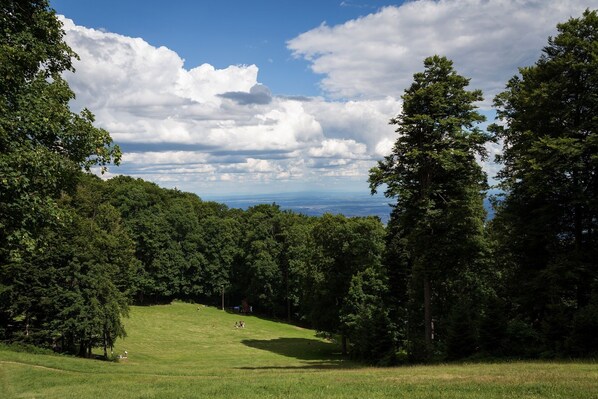 Un campo cubierto de hierba con árboles y vistas al horizonte.
