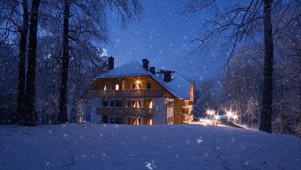 A snow-covered house with a wooden exterior and multiple chimneys, surrounded by trees and a snowy landscape. - Aparthotel Snjezna Kraljica (Stubicke Toplice)