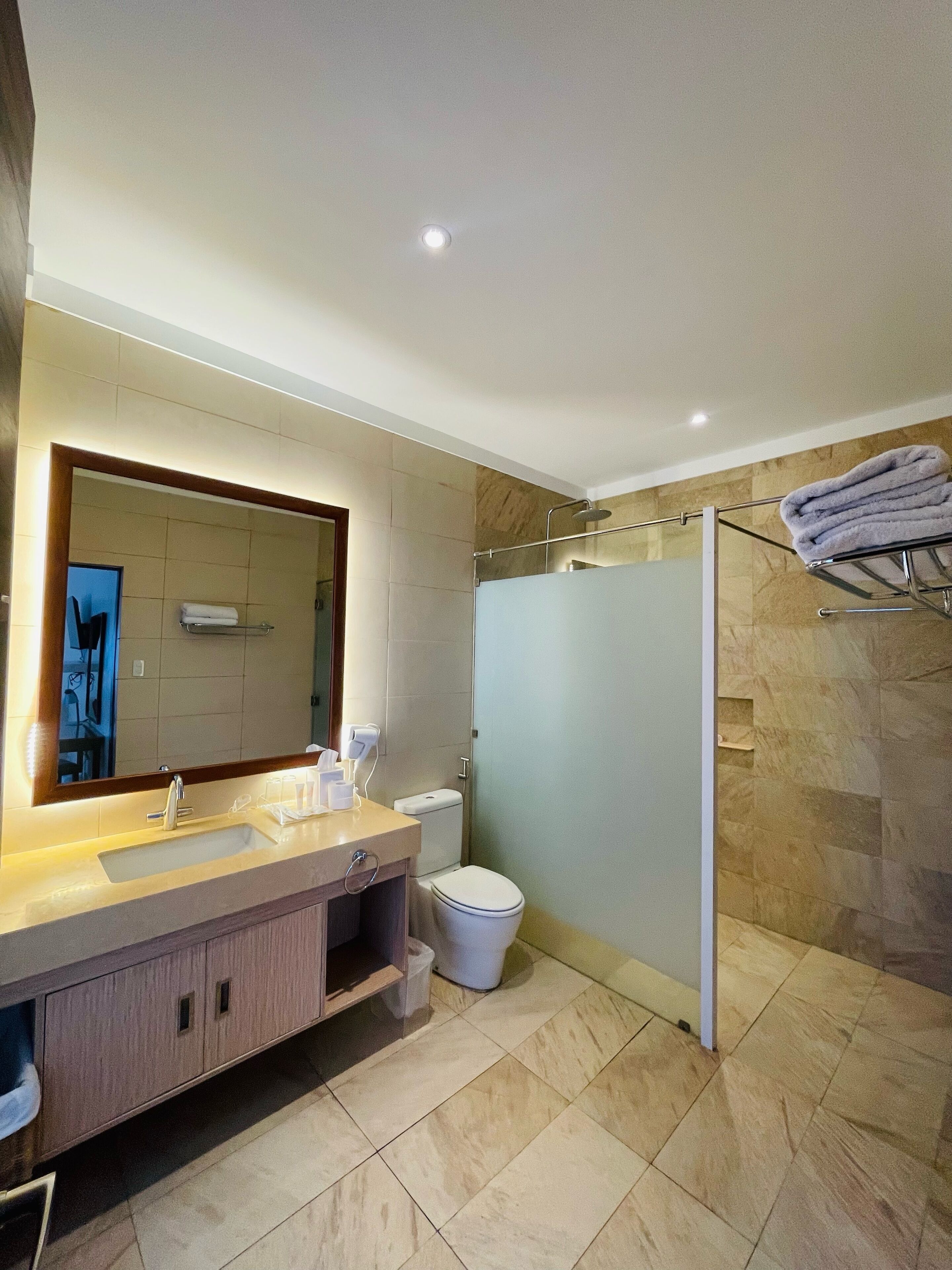 A modern bathroom with a large mirror, a sink, a toilet, and a shower area.