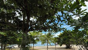 Un sendero que lleva a una zona de playa con palmeras y vistas al mar.
