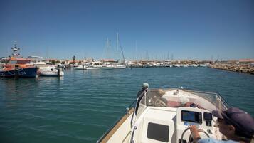 A marina with various boats docked.