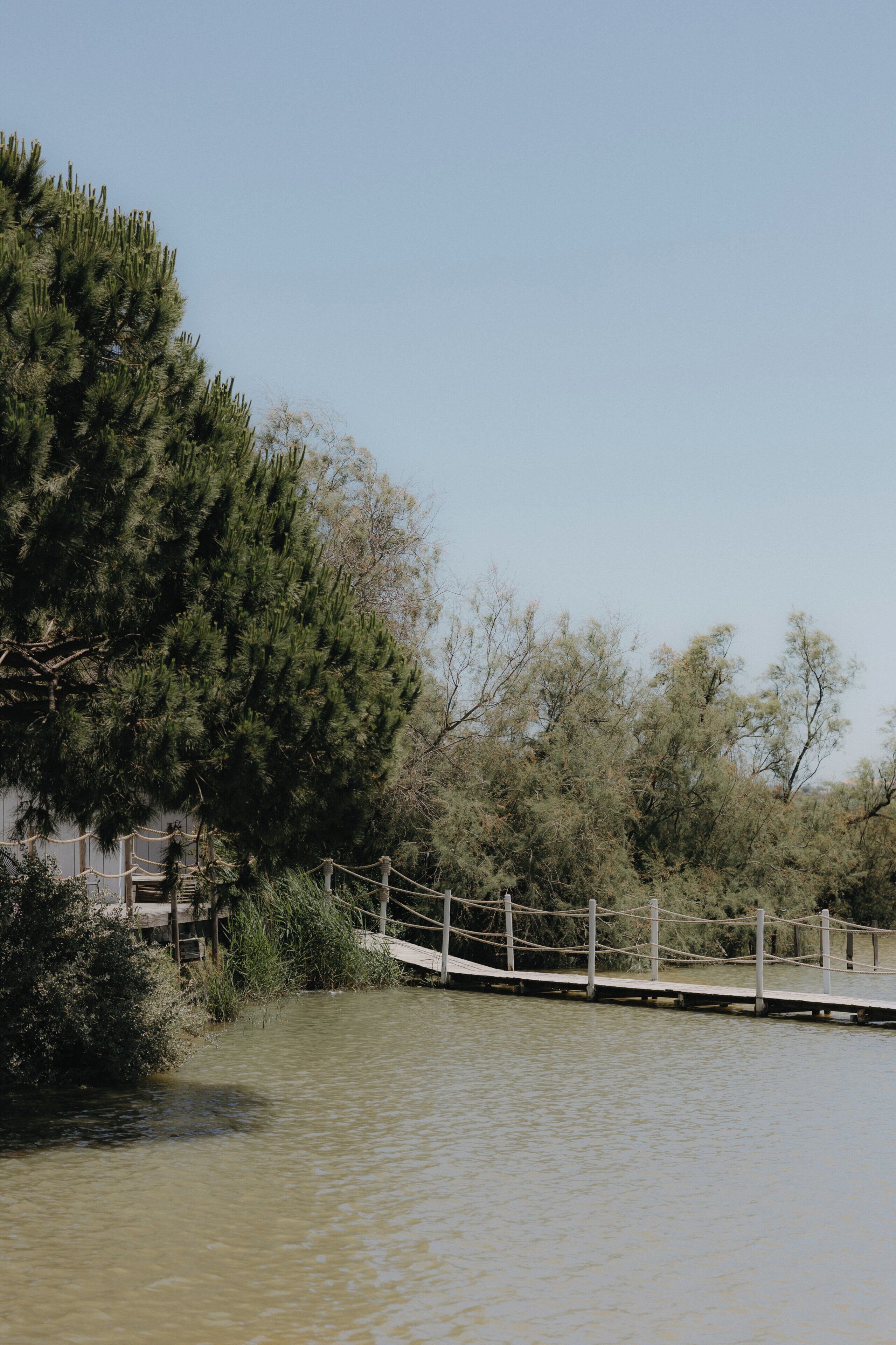 A wooden bridge over a calm body of water, surrounded by trees and vegetation.