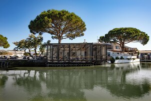Um imóvel à beira-mar com estrutura envidraçada, piscina e árvores ao redor.