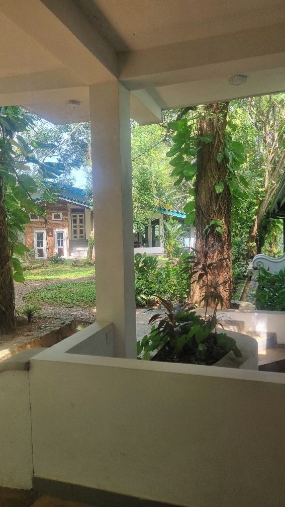 A covered outdoor area with a view of a brick house and lush greenery.
