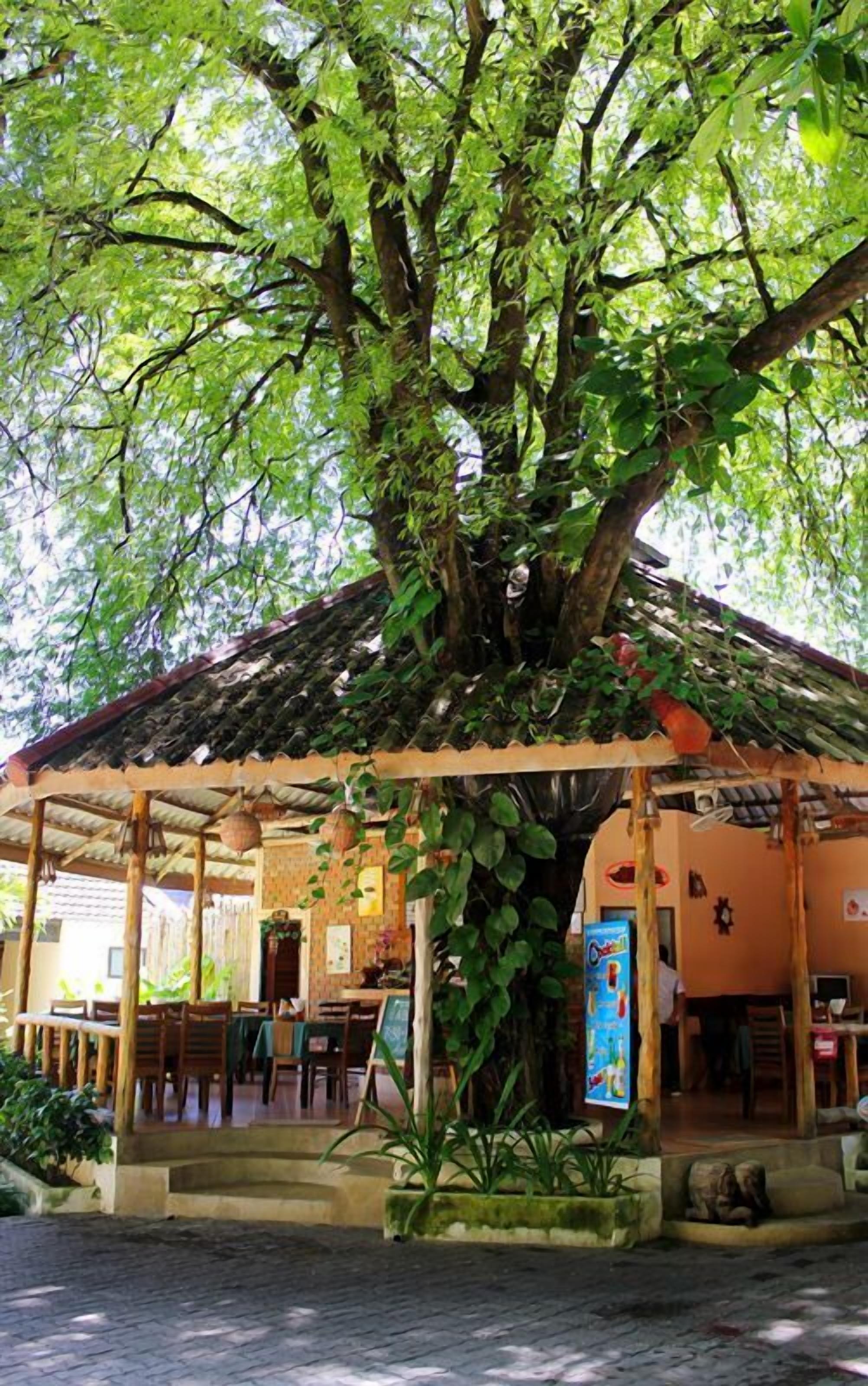 A covered outdoor seating area with tables and chairs, surrounded by lush greenery and a large tree.