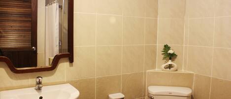 A bathroom with a sink, toilet, and a mirror.