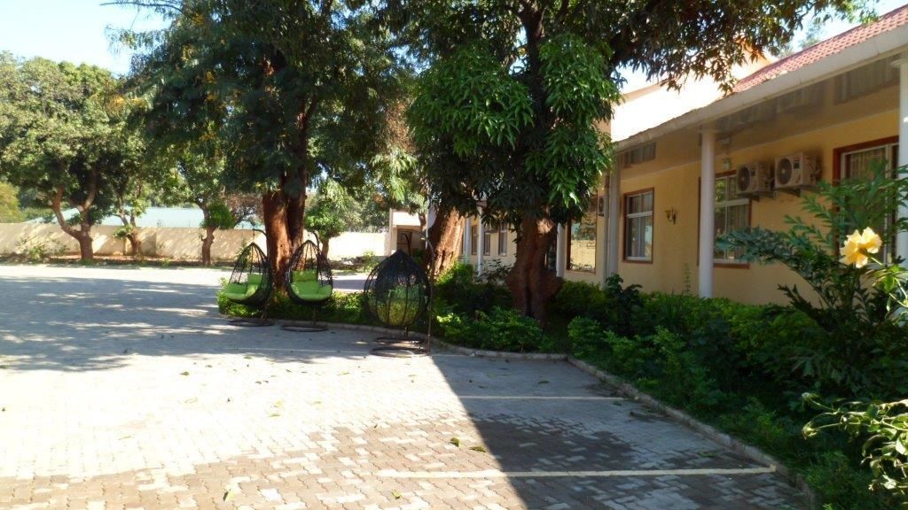A paved courtyard with hanging chairs, a building with a tiled roof, and lush greenery.