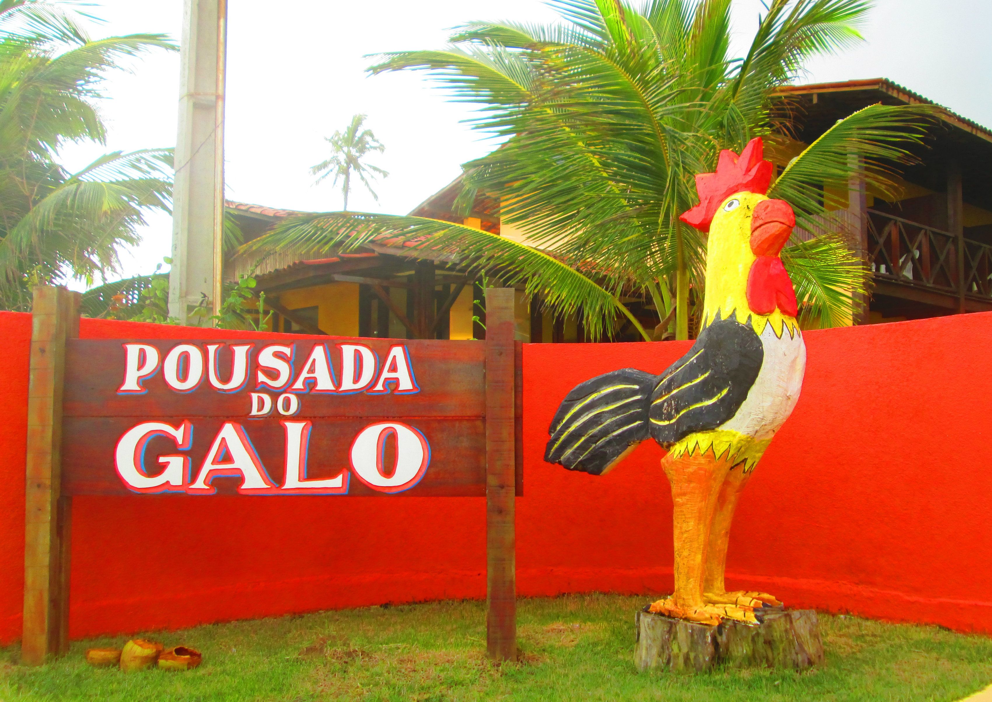 Foto - Pousada do Galo