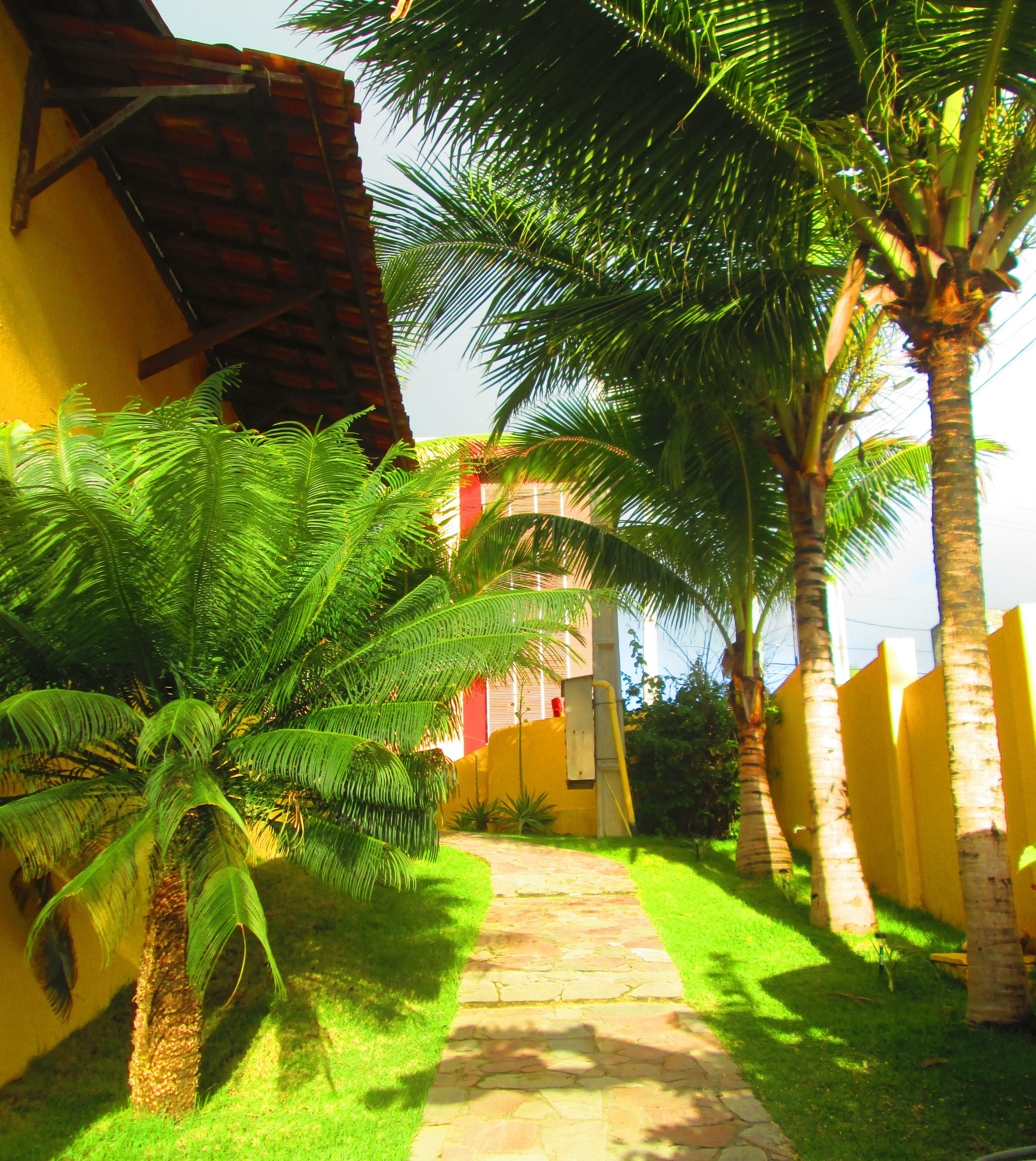 Foto - Pousada do Galo