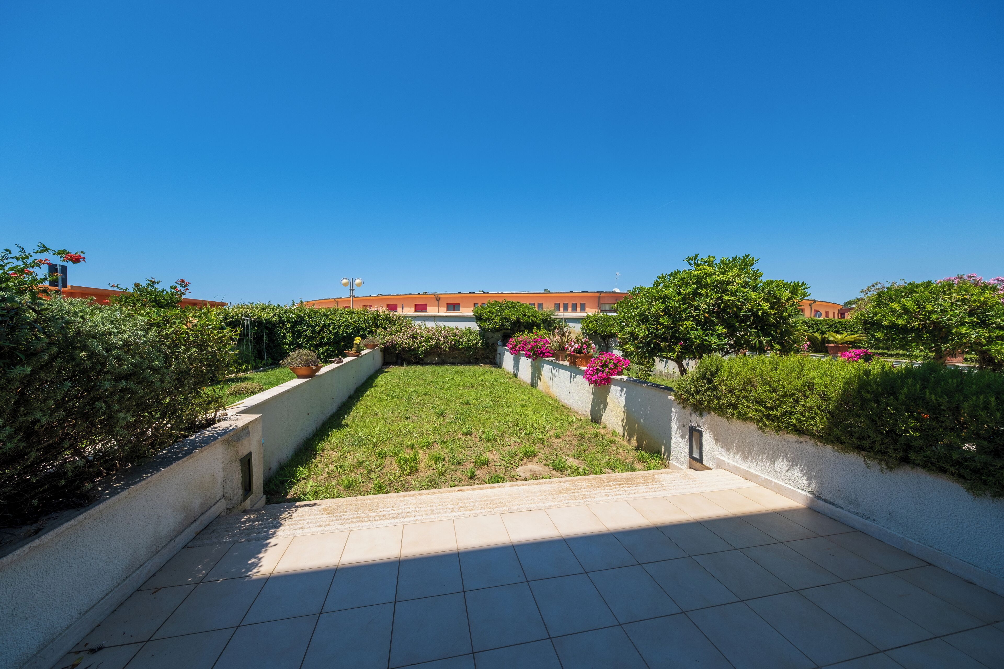 Un jardín en la azotea con una vista despejada de un edificio al fondo.