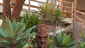 A garden with various plants, including cacti and agave, and a large red pot.