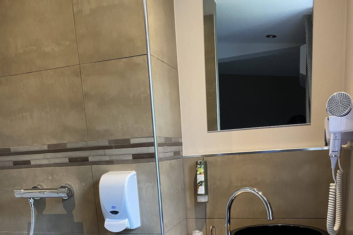 economy single room, 1 queen bed | bathroom | shower, free toiletries, towels