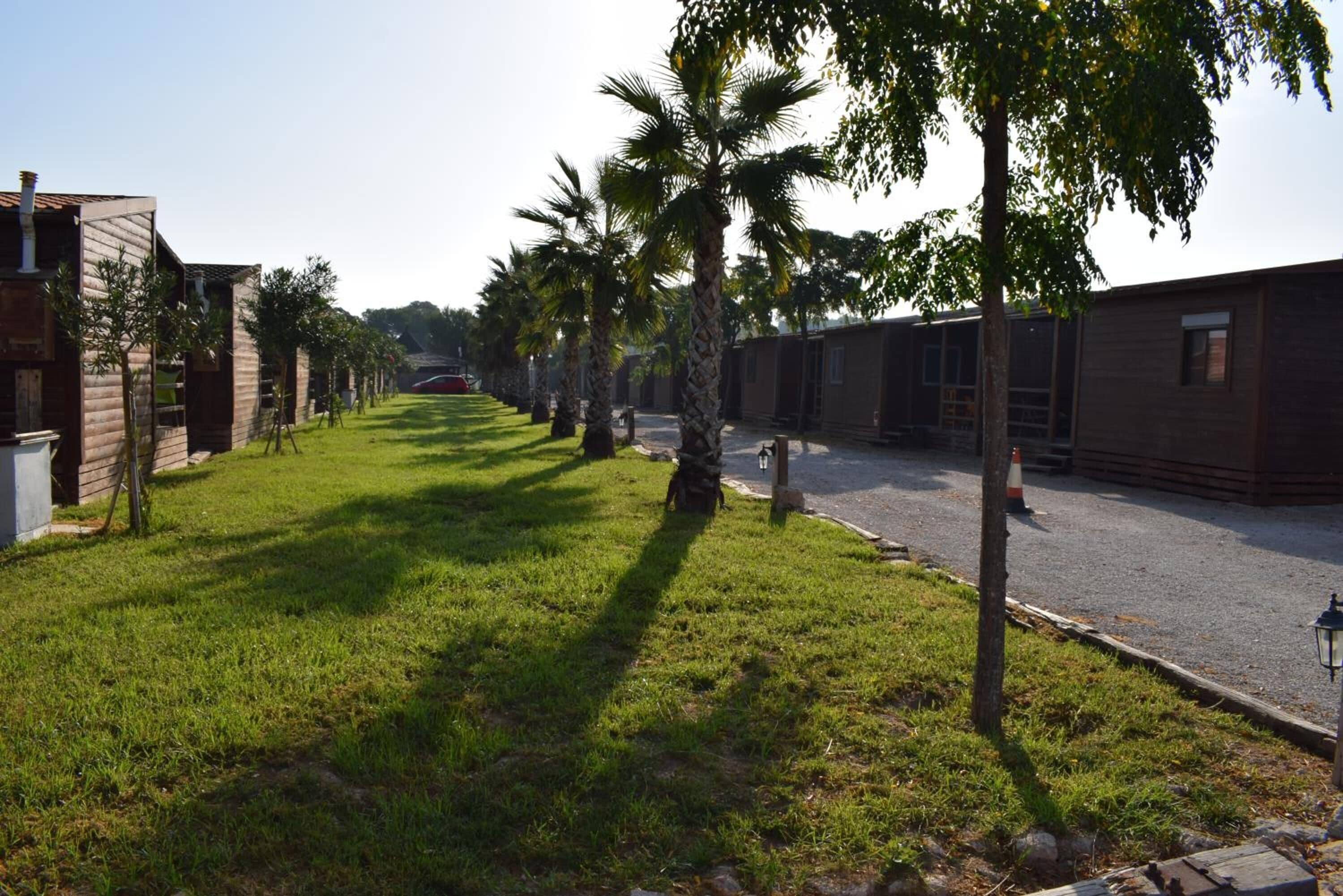 Foto - Bungalows Park Albufera