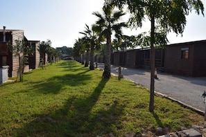 Property grounds - Bungalows Park Albufera (Valencia)