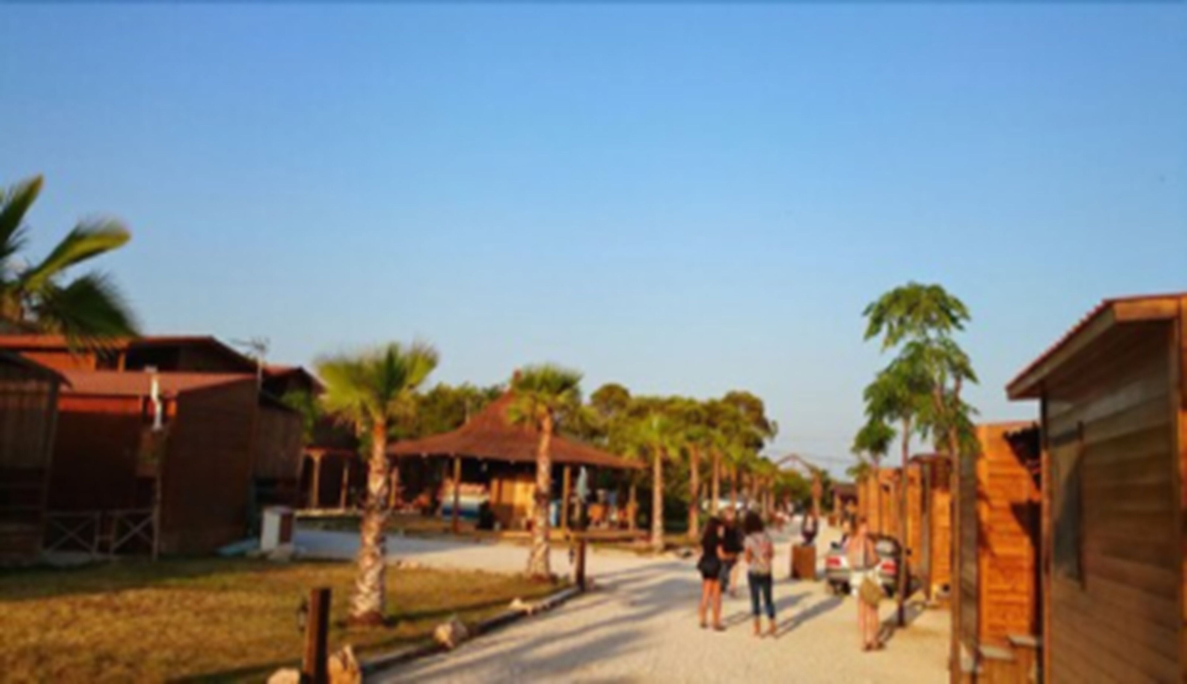 Foto - Bungalows Park Albufera