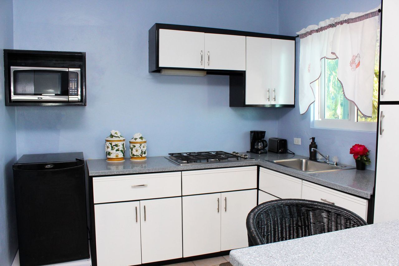 suite, 1 bedroom, balcony, ocean view | private kitchen | fridge, microwave, stovetop, coffee/tea maker