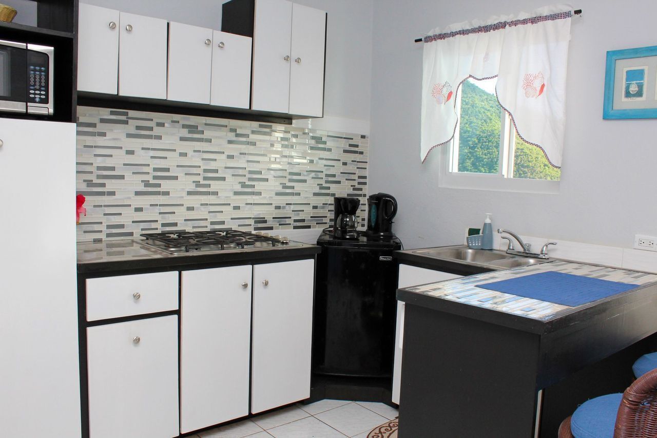 suite, 1 bedroom, balcony, ocean view | private kitchen | fridge, microwave, stovetop, coffee/tea maker