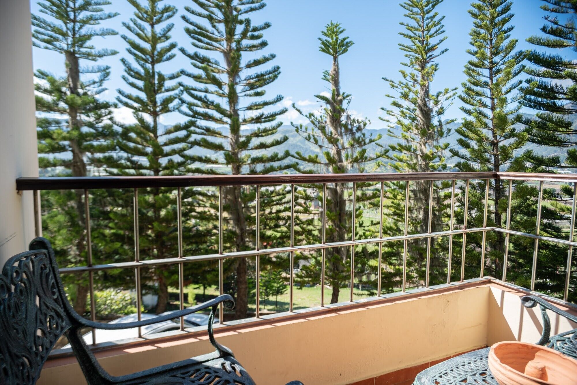 A balcony with a metal railing, a chair, and a potted plant.
