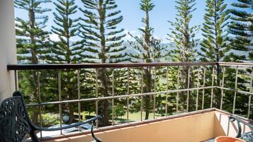 A balcony with a metal railing, a chair, and a potted plant.