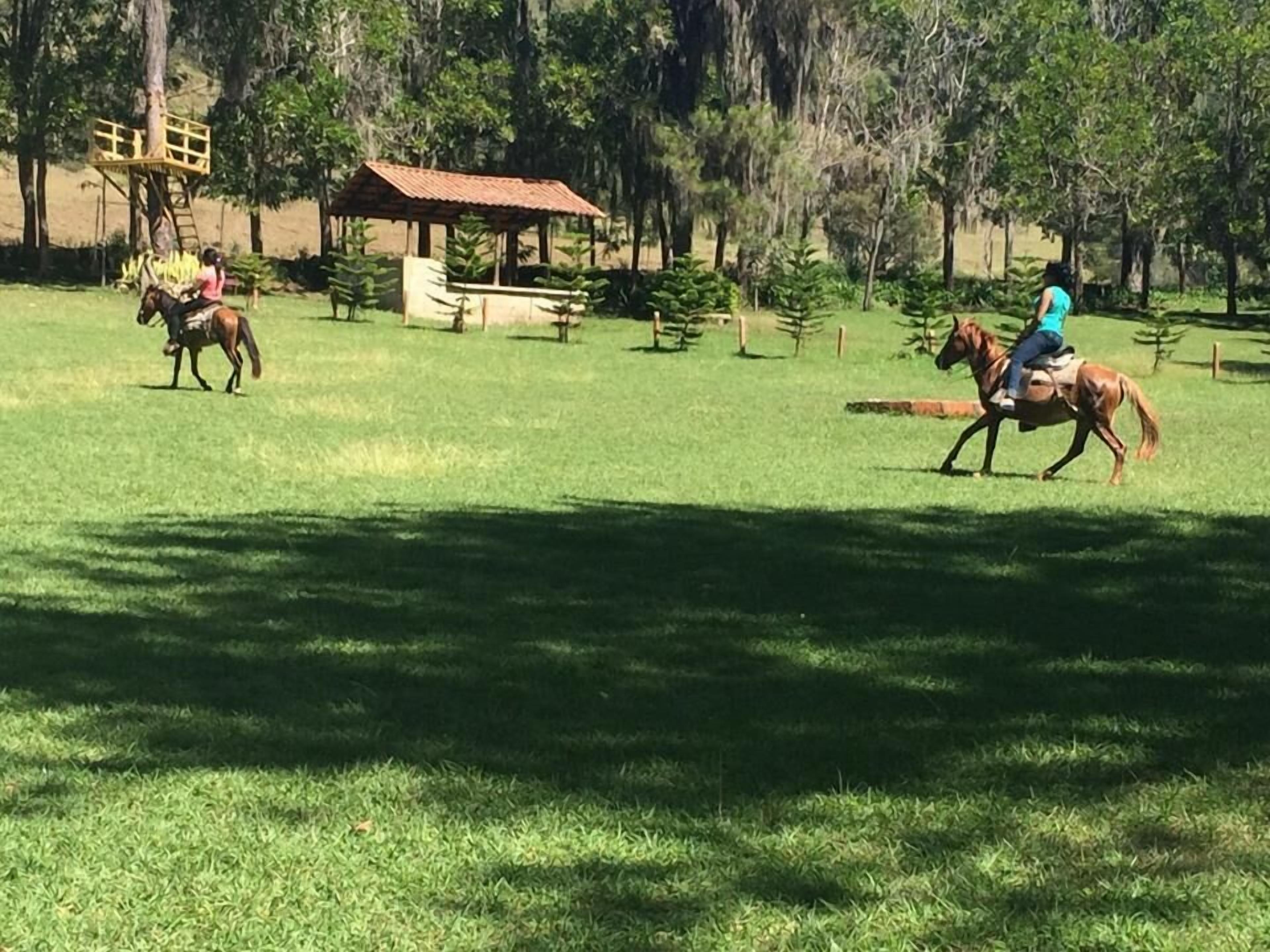 A horse riding area with a fenced enclosure, trees, and a small wooden structure.