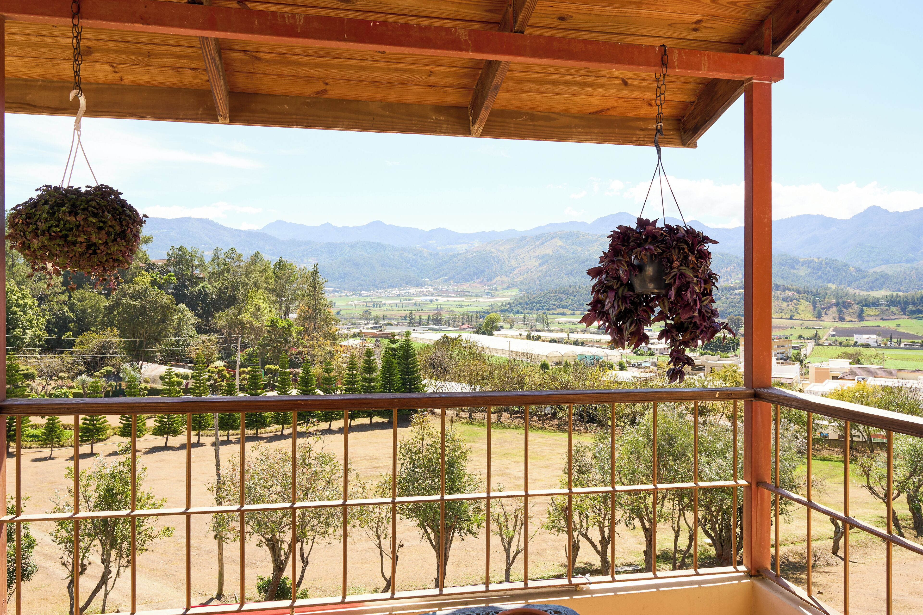 A balcony with a view of a mountainous landscape, a hanging plant, and a railing.