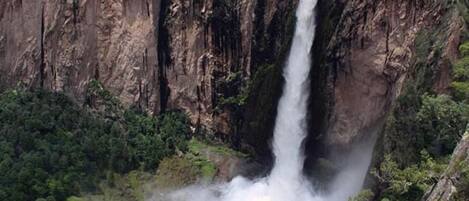 A waterfall cascading down a steep cliff surrounded by dense forest.