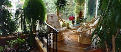 Terraza o patio