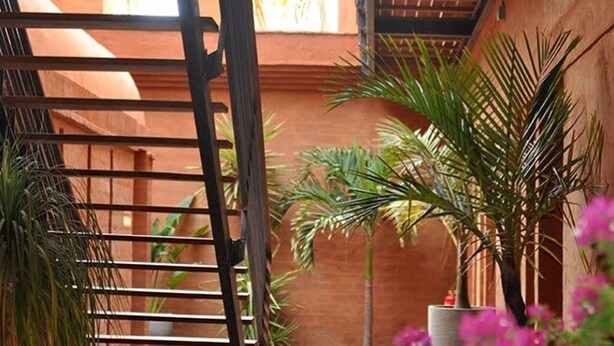 A covered outdoor area with a wooden ladder, palm trees, and potted plants. - Hôtel Le Djoloff (Dakar)