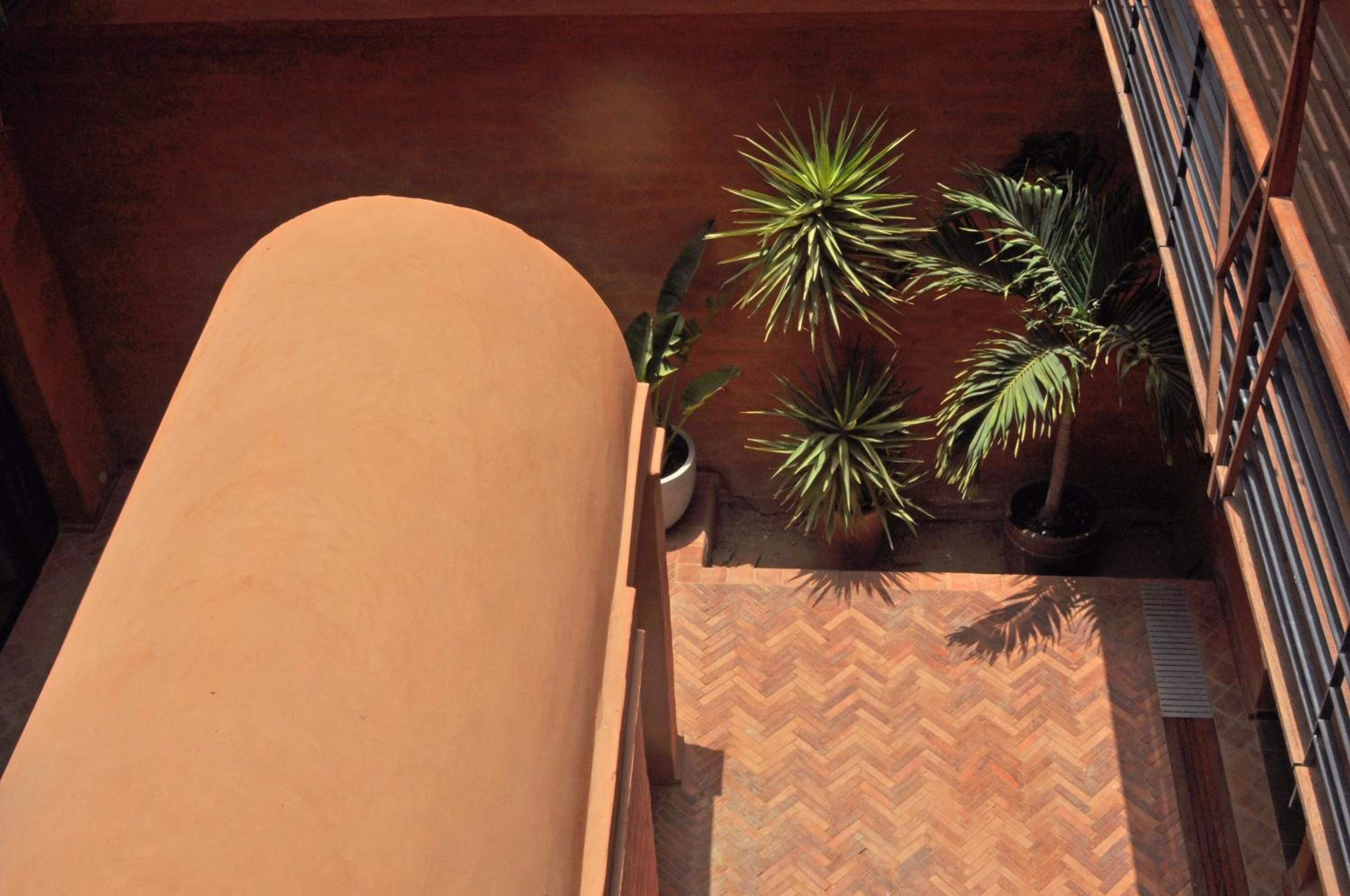 A sunlit outdoor area with a long, curved bench and several potted plants.