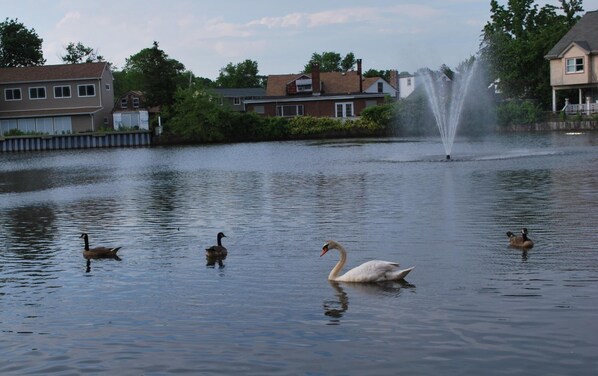 Lake - South Bay Motel (Copiague)