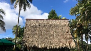 Unclassified image, 3 of 27, button - Hotel Catamaran (Livingston)