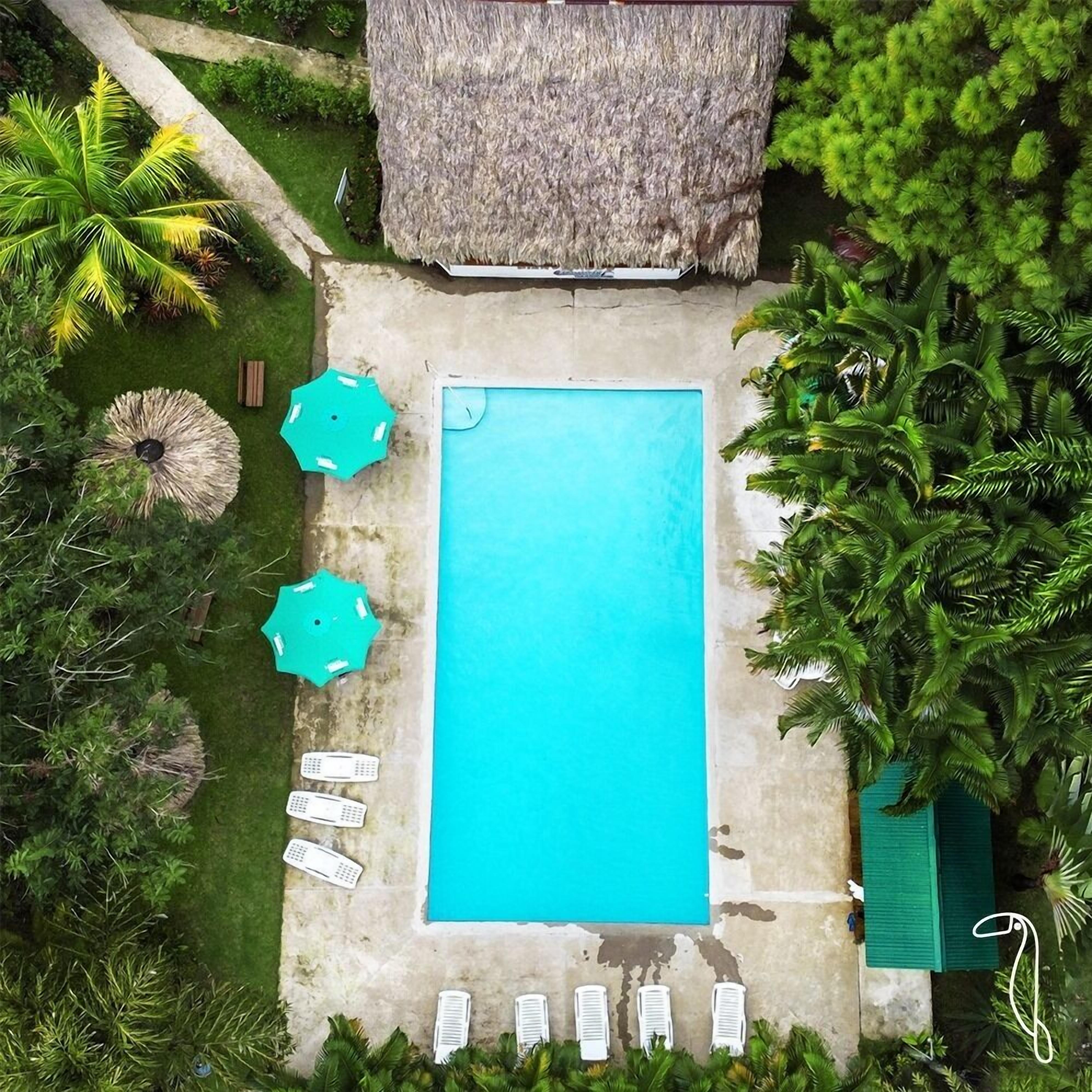 outdoor pool, pool umbrellas, pool loungers