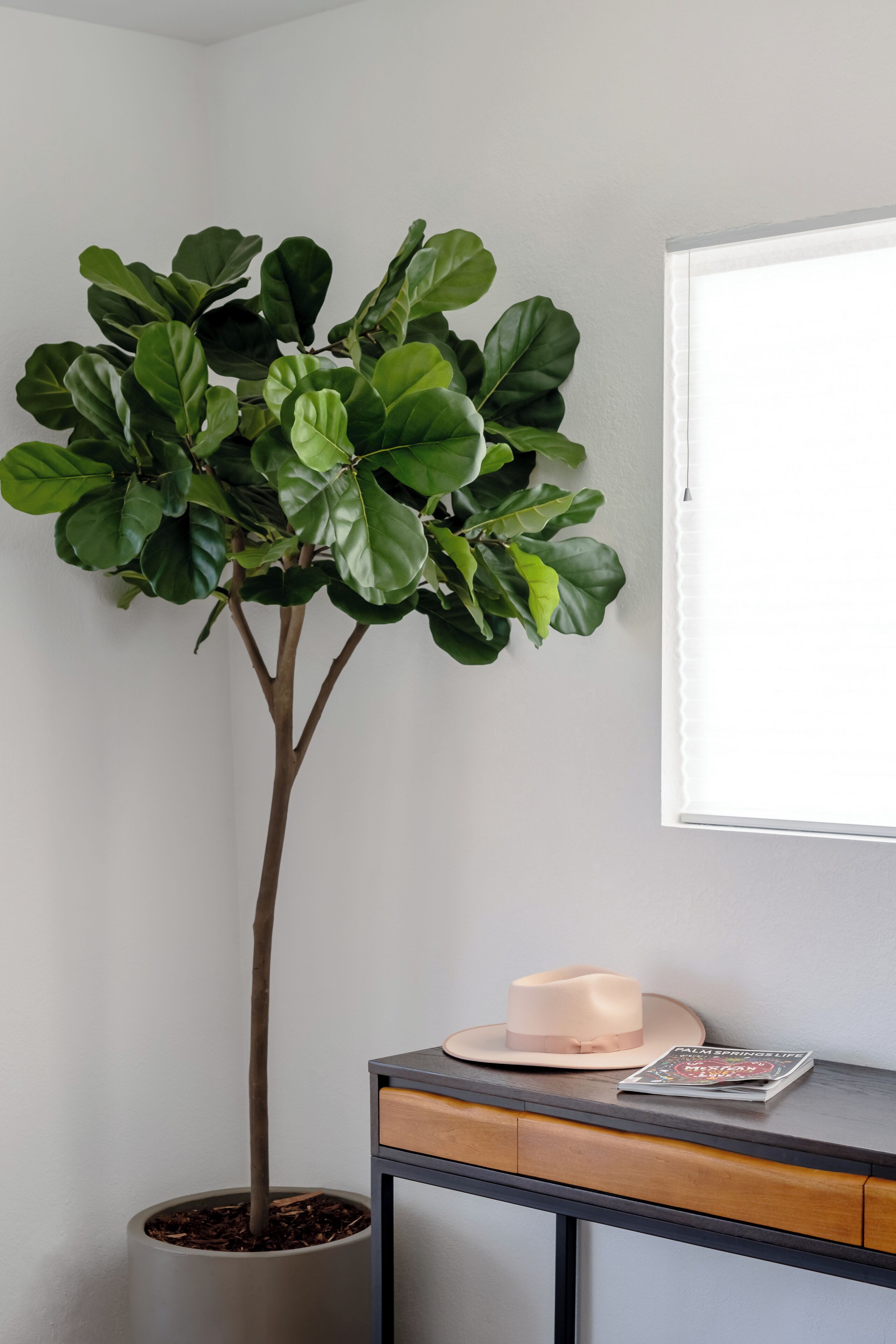 Photo - Desert Hot Springs Inn