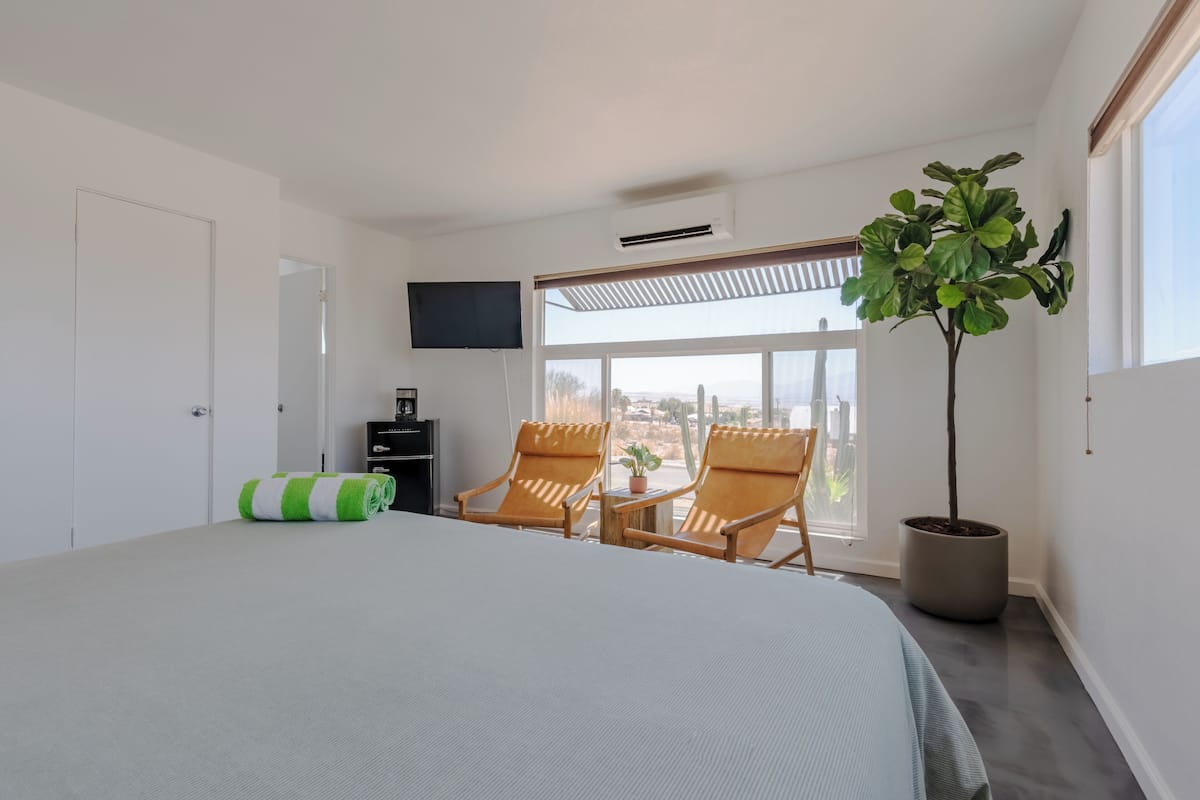 A bedroom with a large bed, two wooden chairs, a potted plant, a TV, and a window with a view.