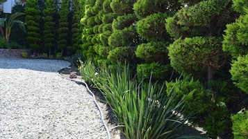 Jardín