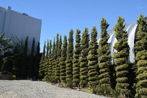 Garden - Hotel Pacific (Tijuana)