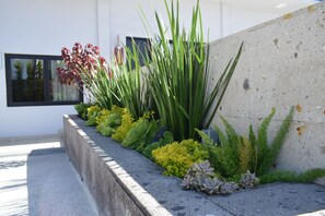 Garden - Hotel Pacific (Tijuana)