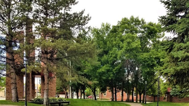 A well-maintained grassy area with a pathway leading to a building with brick walls and large windows. - Town House Motor Inn (Worland)