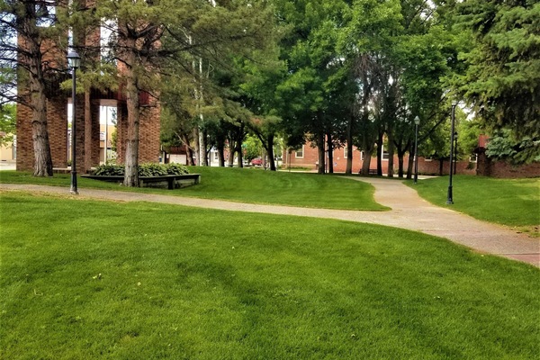 BBQ/picnic area