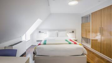 A modern bedroom with a loft-style bed, built-in wardrobe, and skylight.
