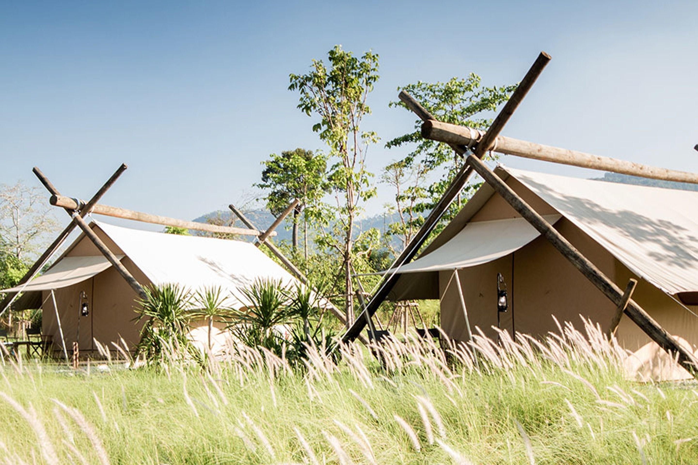 deluxe safari tent | in-room safe, desk, iron/ironing board, wifi