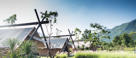 Deluxe Safari Tent | Área da propriedade